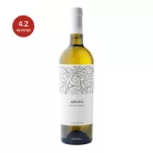 Jento Bianco Puglia fehérbor - Giustini