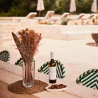Jento Bianco Puglia fehérbor - Giustini