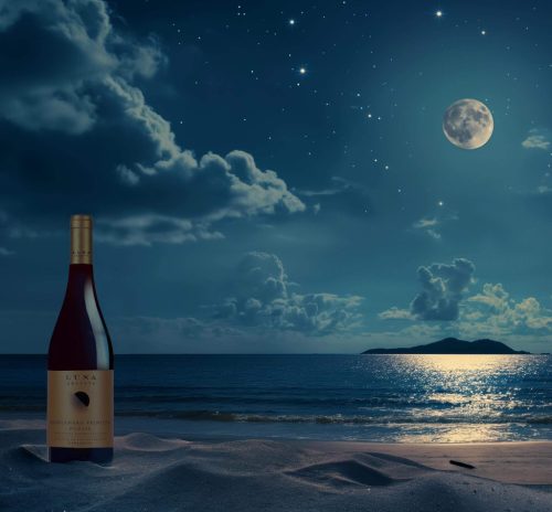 Negroamaro Primitivo Appassite - Luna Argenta