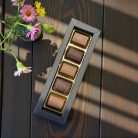 5-ös Primitivo Bonbon