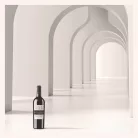 Collezione Cinquanta 1962 - San Marzano