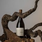 Susco Susumaniello Salento