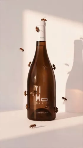 Timo Vermentino - San Marzano