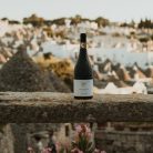 Cinquenoci Primitivo - Tagaro