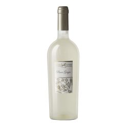 Prémium Pinot Grigio - Tenuta Ulisse