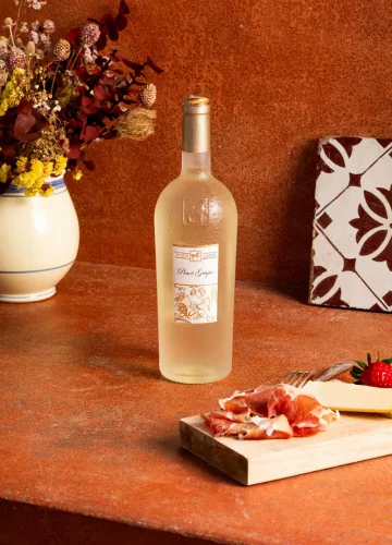 Prémium Pinot Grigio - Tenuta Ulisse