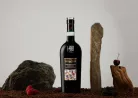 Montepulciano d'Abruzzo - Tenuta Ulisse