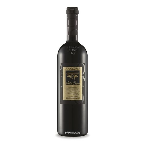Valle Cupa - Primitivo Negroamaro - Apollonio