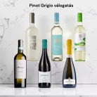 Pinot Grigio borcsomag