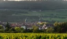 Savigny-lès-Beaune 1er Cru Aux Clous – Chartron et Trebuchet