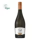 Prosecco Frizzante DOC - Cielo e Terra