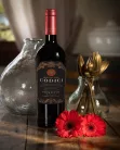 Primitivo Puglia - Codici