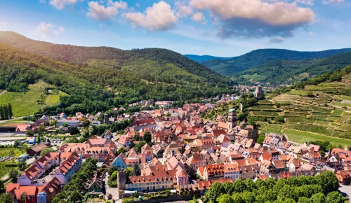 Crémant D'Alsace Brut Riesling - 