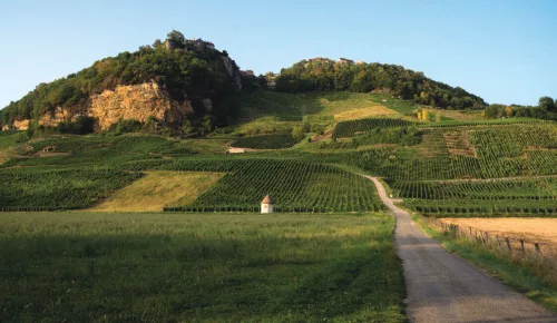 Crémant du Jura Chardonnay 60 Brut - Marcel Cabelier