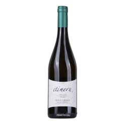 Pinot Grigio Prima Classe - Itinera