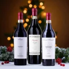 Ricossa Nizza DOCG Noceto – 3 évjáratos válogatás