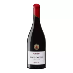 Bourgogne Pinot Noir - Moillard