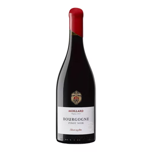 Bourgogne Pinot Noir - Moillard