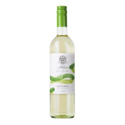 Pinot Grigio - Barone Montalto