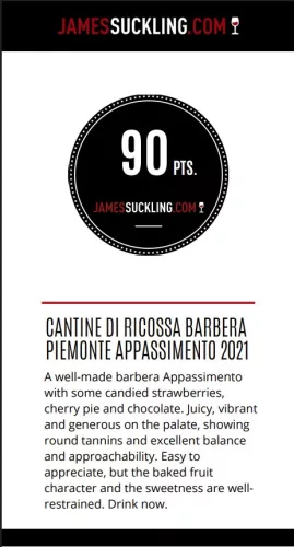 Piemonte Barbera Appassimento - Ricossa