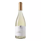 Salende - Vermentino 2025